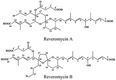 Reveromycins A and B from Streptomyces sp. 3–10: Antifungal Activity against Plant Pathogenic Fungi In vitro and in a Strawberry Food Model System